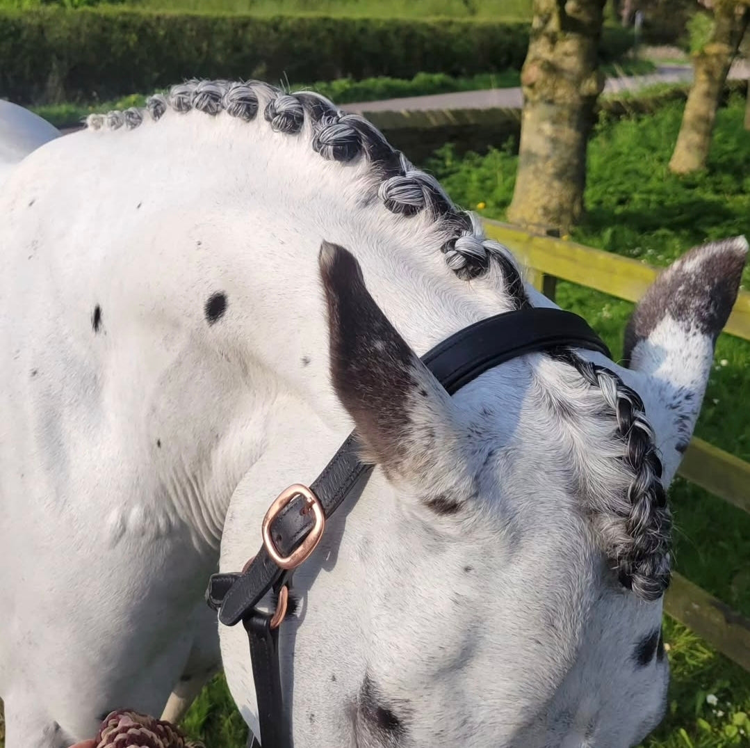 PLAITING