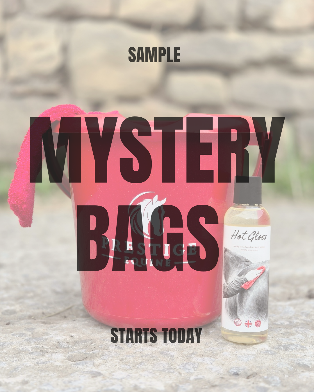 MYSTERY BAGS