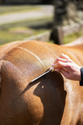 QUARTER MARKING COMB